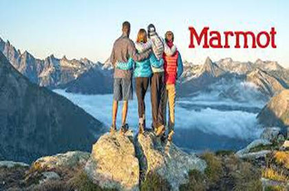 Marmot