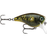 Rapala BX Mid Brat