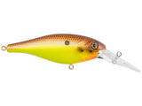 Berkley Bad Shad
