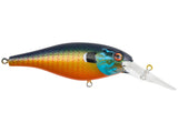 Berkley Bad Shad