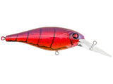 Berkley Bad Shad