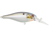 Berkley Bad Shad