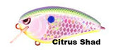 Spro Fat John Series Crankbaits