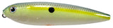Strike King Kvd Sexy Dawg Jr
