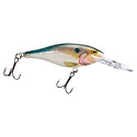 Rapala Shad Rap