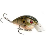 Strike King KVD 8.0