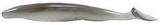 Strike King KVD Swim'N Caffeine Shad